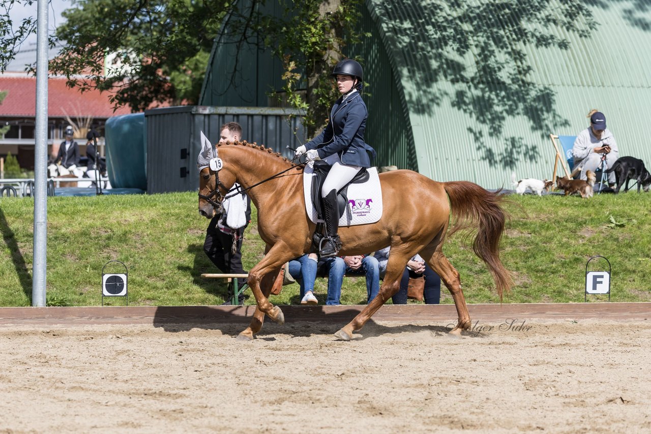 Bild 411 - Pony Akademie Turnier